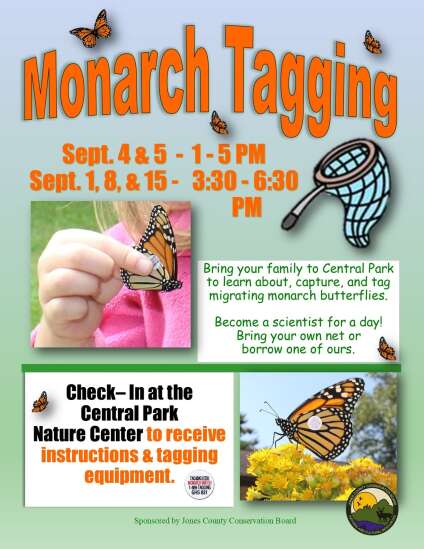 Help with monarch butterfly tagging in Jones County Central Park in September