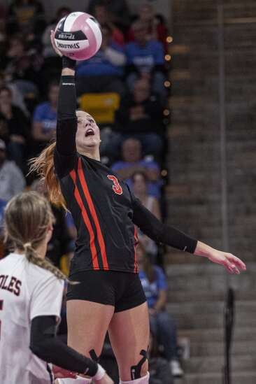 Photos: Springville vs. Oakland Riverside in Class 1A state volleyball quarterfinals