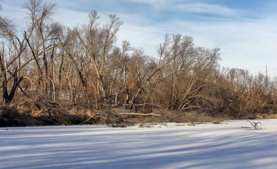 Federal funding beginning to help Cedar Rapids clear watersheds of derecho debris