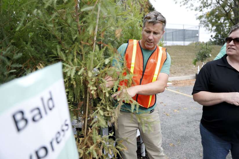 Government Notes: How Cedar Rapids residents can get low-cost trees