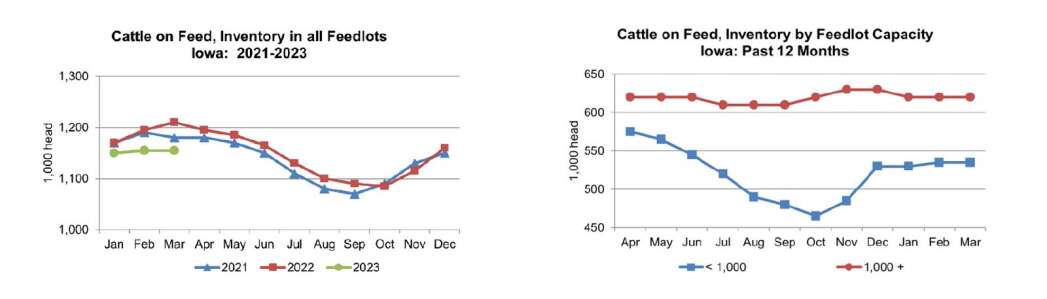 Most cattle counts match last month, down from last year