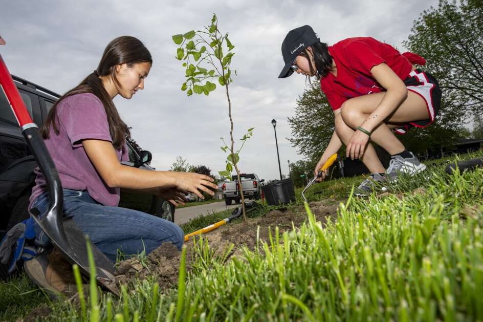 Linn-Mar High School junior Elisa VonBehren and Linn-Mar senior August Greif, members of the Marion Youth Council, plant a tree Thursday at the city water department. The city is embarking on a 10-year plan to replace trees lost in the 2020 derecho and to the emerald ash borer.  (Nick Rohlman/The Gazette)