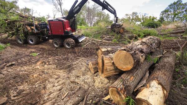 Cedar Rapids trails to be closed in phases while the city finishes derecho cleanup