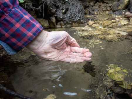 Not just a Gulf problem: Mississippi River farm runoff pollutes upstream waters
