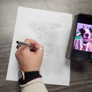 Dogs Forever brings back its hilarious Poorly Drawn Pet Portraits fundraiser