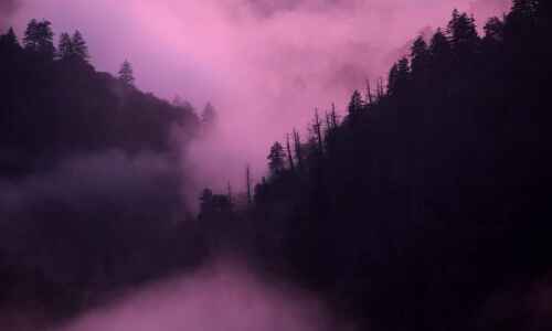 American wilderness: a backcountry refuge in Great Smoky Mountains National Par