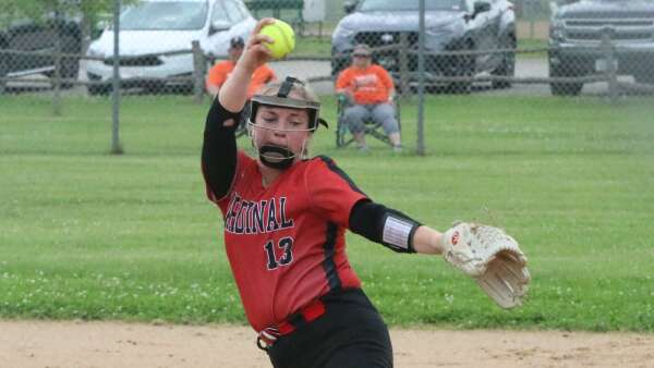 Area softball roundup: Comets fall by 1