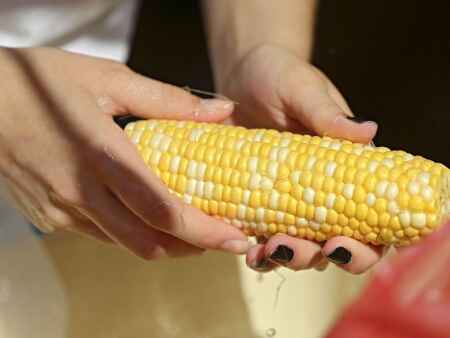 Food events Aug. 9-15: Sweet corn fest, Coralville’s 5th Street Social and summer wine tastings