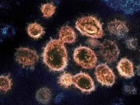 Contagious U.K. coronavirus strain found in Johnson County