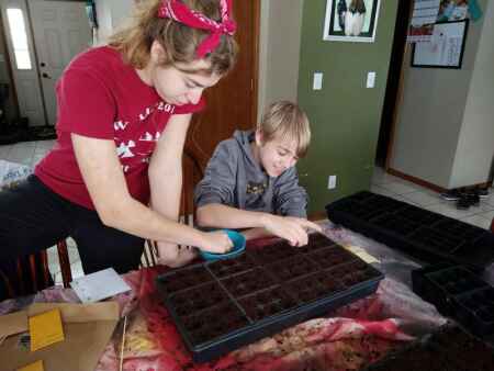 Start your own seeds to get a head start and save money gardening
