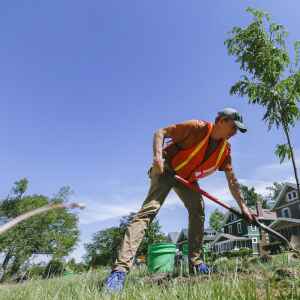 Government Notes: Cedar Rapids completes community garden draft plan