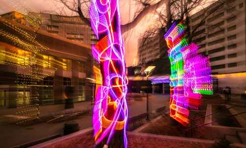 ‘Doodle Trees’ shine new light in downtown Iowa City