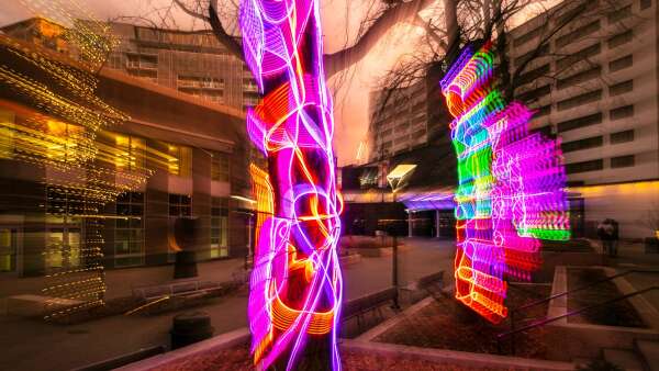 ‘Doodle Trees’ shine new light in downtown Iowa City