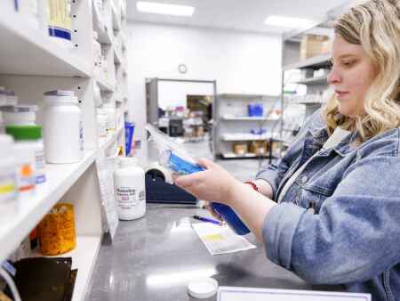 Online pet pharmacy VetRxDirect in Coralville thrives against big competitors