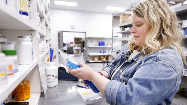Online pet pharmacy VetRxDirect in Coralville thrives against big competitors