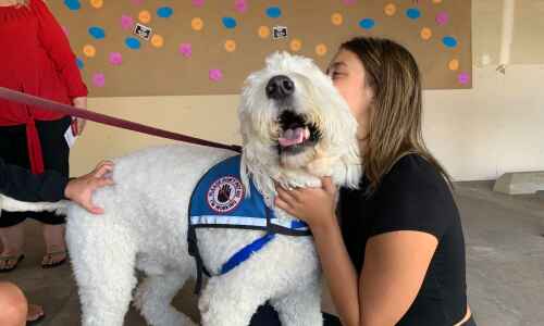 Mack the healing dog joins Tanager Place services