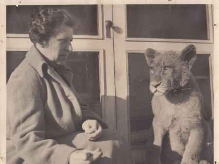 Exotic cats lived at the Brucemore estate