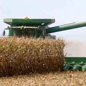Better then predicted corn yields for 2021