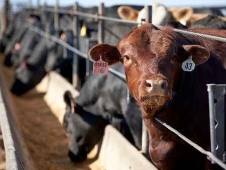 Largest food distributor accuses beef plants of price fixing
