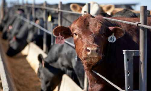 Largest food distributor accuses beef plants of price fixing