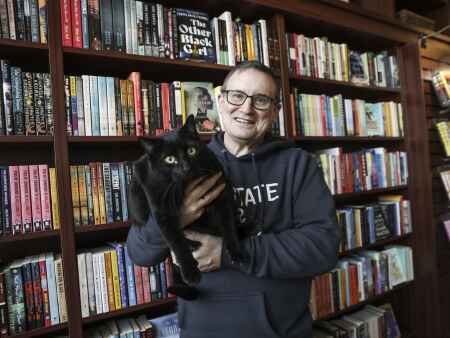 Meet the cat who sells books in NewBo