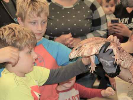 Kalona Public Library hosts reptile program