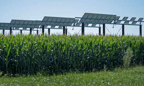 Research seeks ways to grow solar and crops together