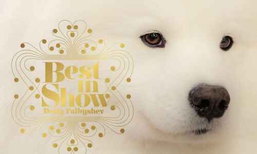 Best in Show review: A photographer goes behind the scenes at the Westminster Dog Show