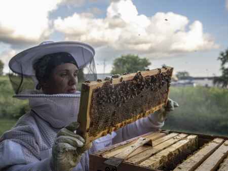Women at Anchor Center in Cedar Rapids raising bees