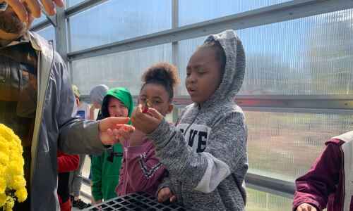 Kids learn about agriculture at Matthew 25 Urban Farm