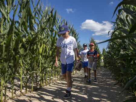 Watch: Field of Dreams welcomes MiLB players and fans
