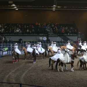 Maasdam Barns to host Mexican rodeo Saturday