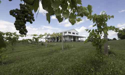Walker Homestead is more than a farm; it offers pizzas, events and classes outside Iowa…