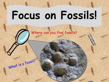 Learn about Iowa’s fossils this weekend at Central Park