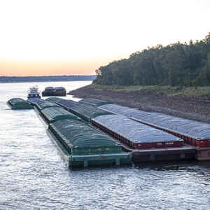 Barges grounded by low water halt Mississippi River traffic