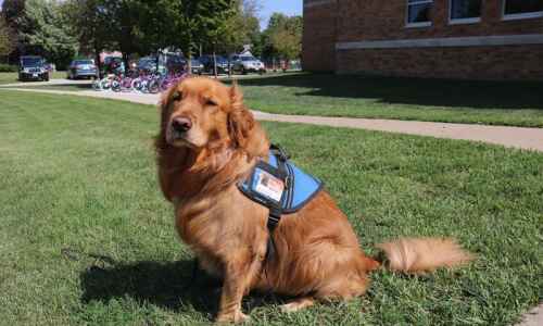 Lincoln to bring on new therapy dog
