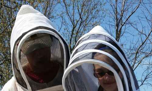 A beekeeping buzz