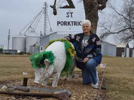 Nelson family decorates lawn pig for all seasons