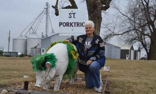 Nelson family decorates lawn pig for all seasons