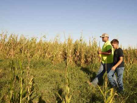 Drought and derecho deal dual blow to Iowa farmers
