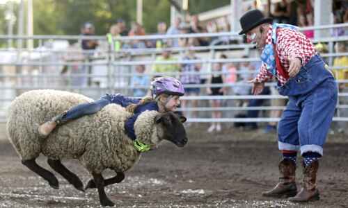 Linn County Fair returns with concerts, contests and more