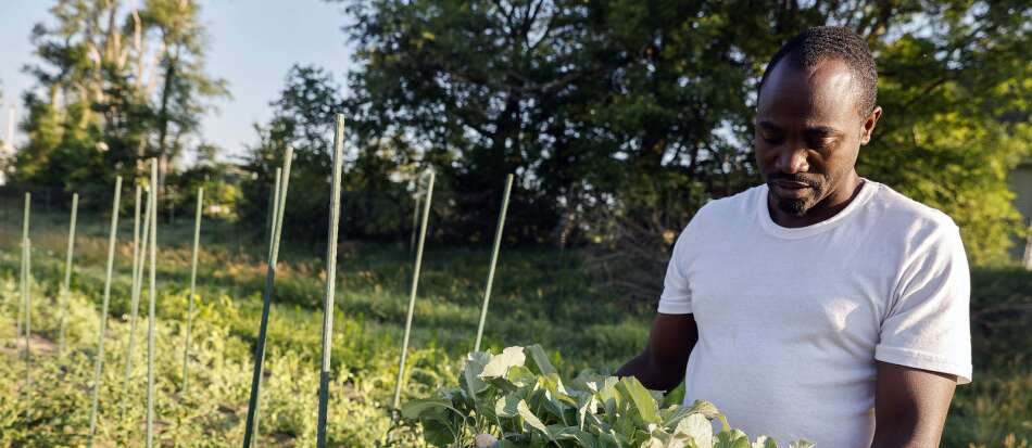 Program expansion gives immigrants a new shot at agriculture success