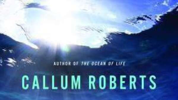 Reef Life: An Underwater Memoir review: dazzling beauty and serious science