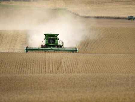 3 reasons farmers back President Trump on China trade