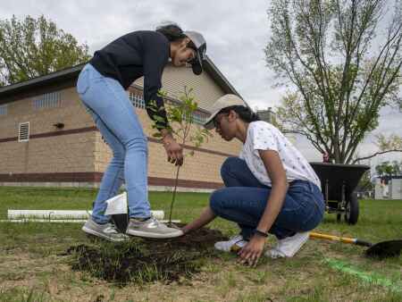 Marion’s going greener: New plan to add thousands more trees