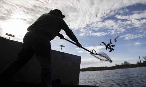 Photos: Trout stocking at Prairie Park Fishery
