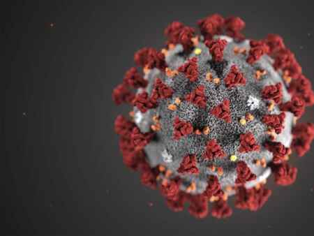 Iowa tops 80,000 coronavirus cases