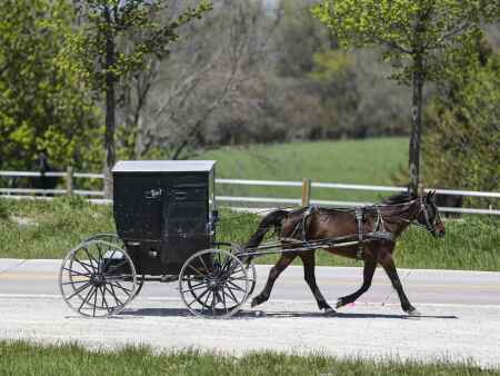 Van Buren school bus collides with horse and buggy, sending one to hospital