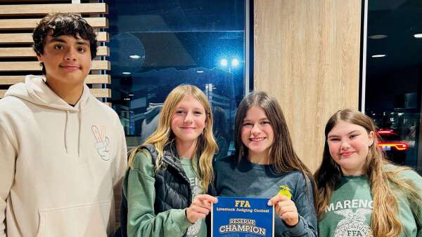 FFA students compete in livestock judging