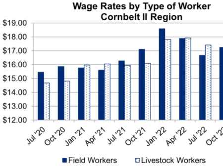 Iowa, Missouri farm worker wages drop, but stay barely above national average